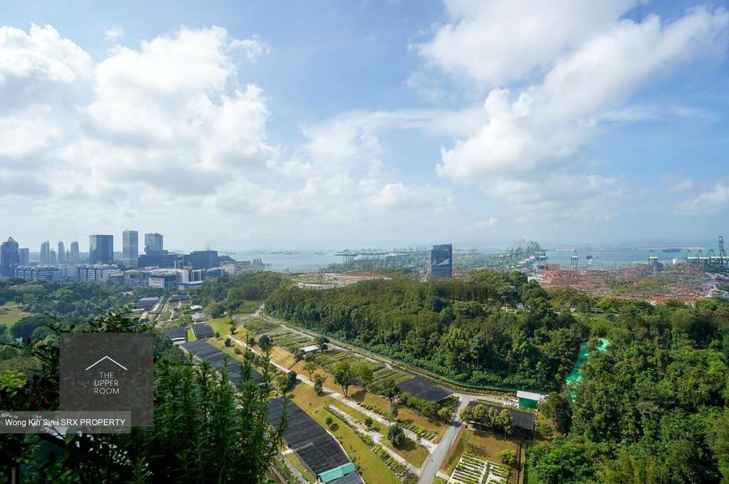 Normanton Park (D5), Apartment #459006921